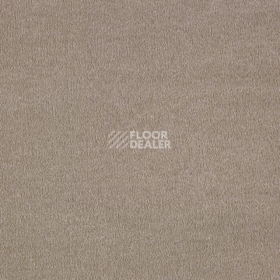 Ковролин AW Sentiment 40 фото 1 | FLOORDEALER